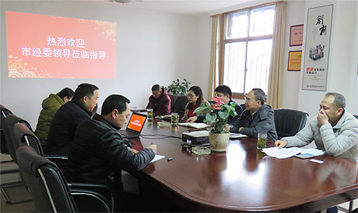 成都市經委張魯進副主任一行蒞臨維珍檢查指導工作