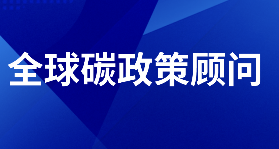 全球碳政策顧問 全球碳政策顧問